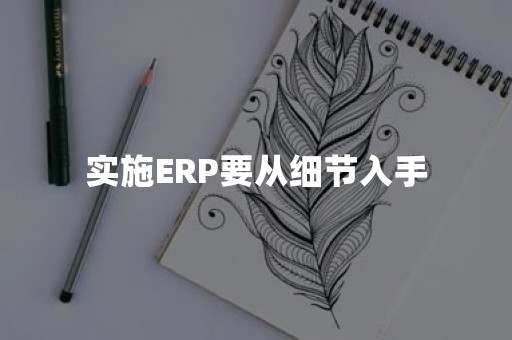 实施ERP要从细节入手