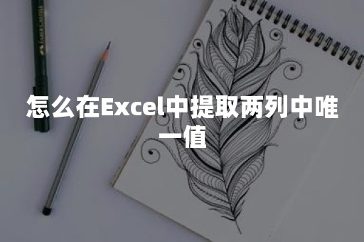 怎么在Excel中提取两列中唯一值