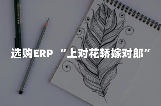 选购ERP “上对花轿嫁对郎”