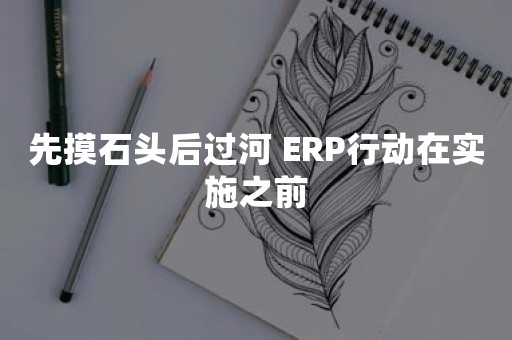 先摸石头后过河 ERP行动在实施之前