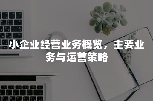 小企业经营业务概览，主要业务与运营策略