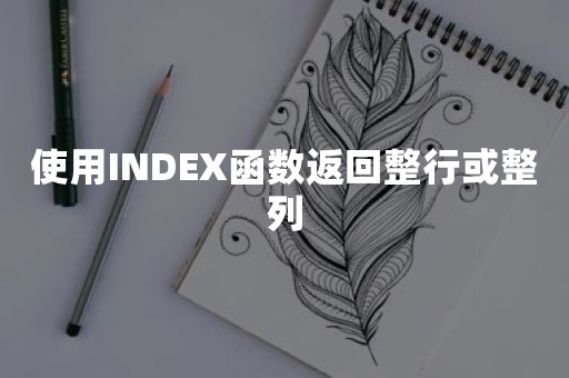 使用INDEX函数返回整行或整列