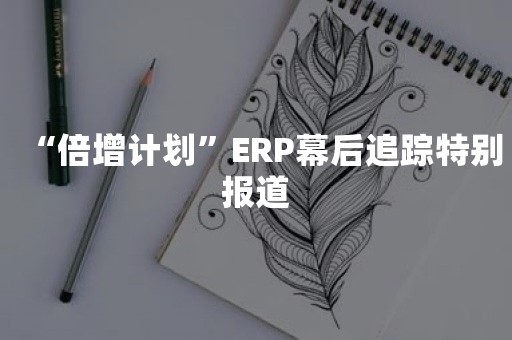 “倍增计划”ERP幕后追踪特别报道