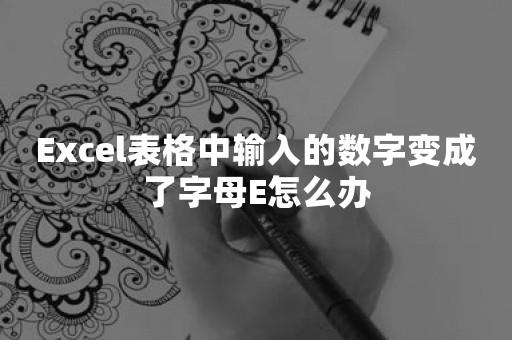 Excel表格中输入的数字变成了字母E怎么办