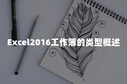 Excel2016工作簿的类型概述