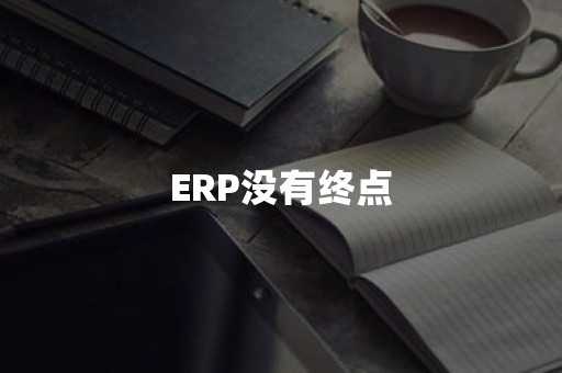 ERP没有终点