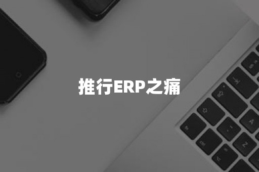 推行ERP之痛