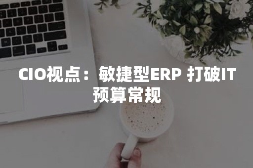 CIO视点：敏捷型ERP 打破IT预算常规