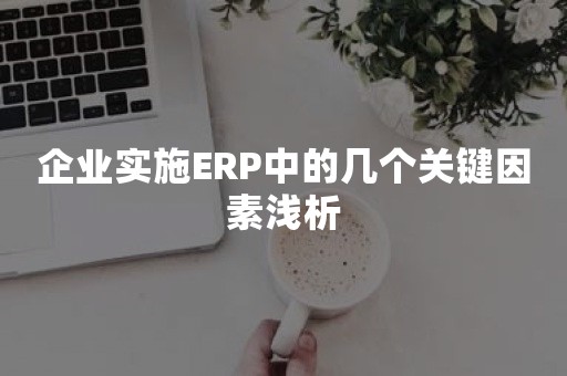 企业实施ERP中的几个关键因素浅析