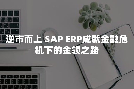 逆市而上 SAP ERP成就金融危机下的金领之路