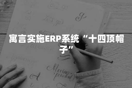 寓言实施ERP系统“十四顶帽子”