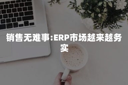 销售无难事:ERP市场越来越务实