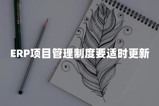 ERP项目管理制度要适时更新