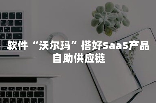 软件“沃尔玛”搭好SaaS产品自助供应链