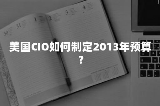 美国CIO如何制定2013年预算？