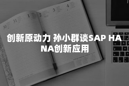 创新原动力 孙小群谈SAP HANA创新应用