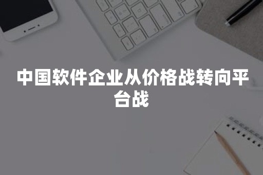 中国软件企业从价格战转向平台战