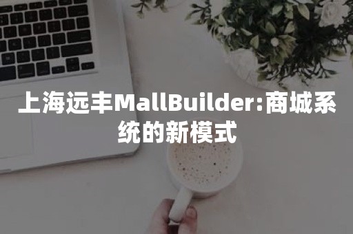 上海远丰MallBuilder:商城系统的新模式