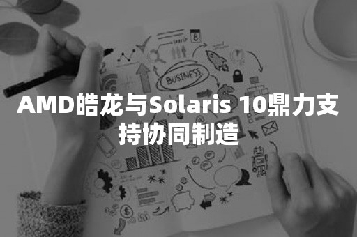 AMD皓龙与Solaris 10鼎力支持协同制造