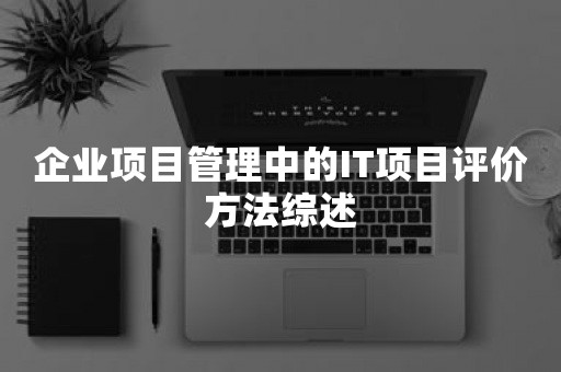 企业项目管理中的IT项目评价方法综述