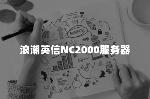 浪潮英信NC2000服务器