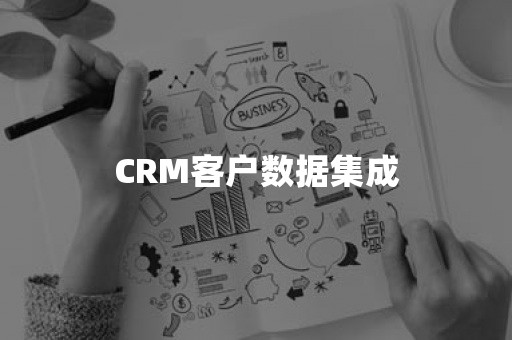 CRM客户数据集成