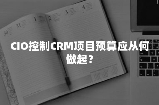 CIO控制CRM项目预算应从何做起？